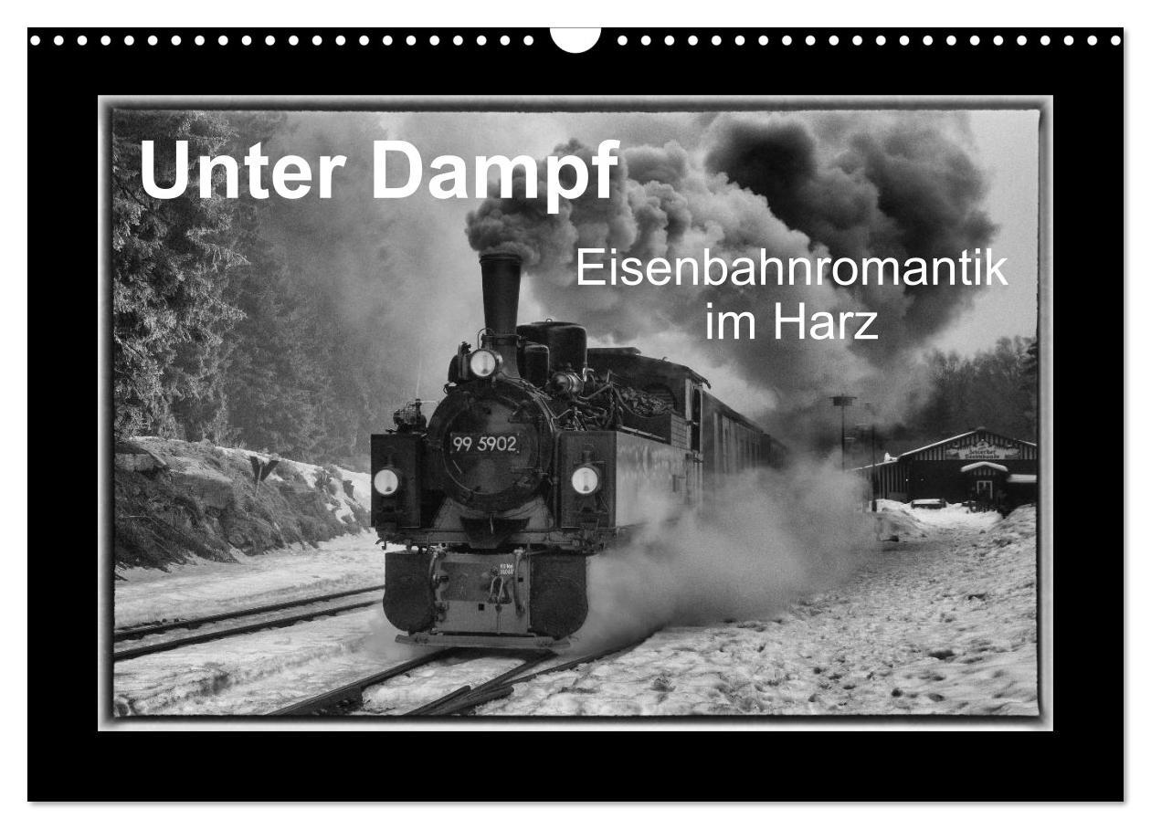 Unter Dampf - Eisenbahnromantik im Harz (Wandkalender 2025 DIN A3 quer), CALVENDO Monatskalender