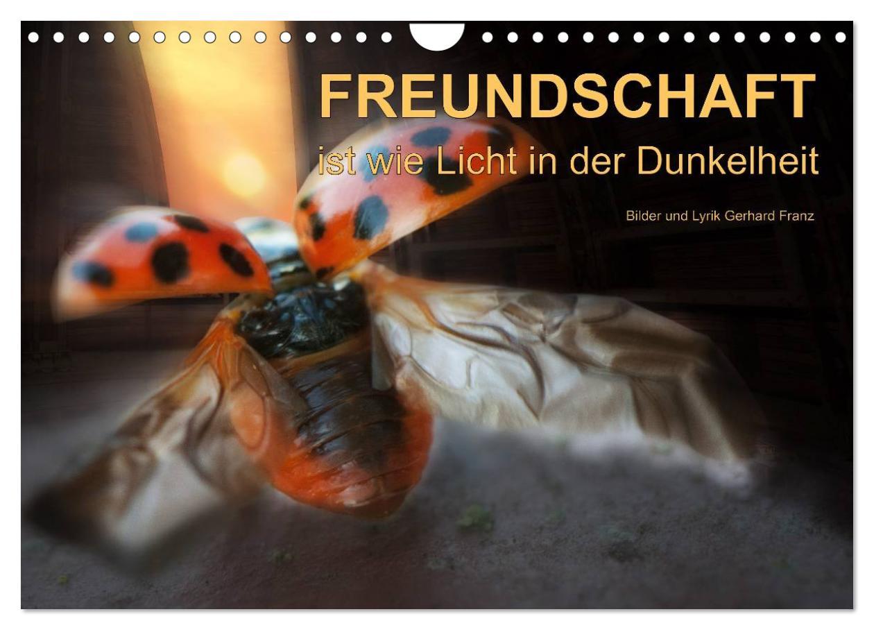 Freundschaft (Wandkalender 2025 DIN A4 quer), CALVENDO Monatskalender