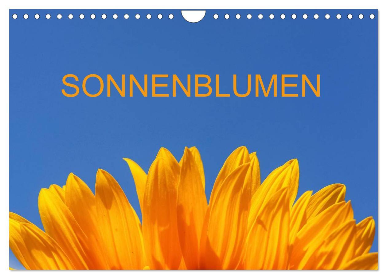 Sonnenblumen (Wandkalender 2025 DIN A4 quer), CALVENDO Monatskalender