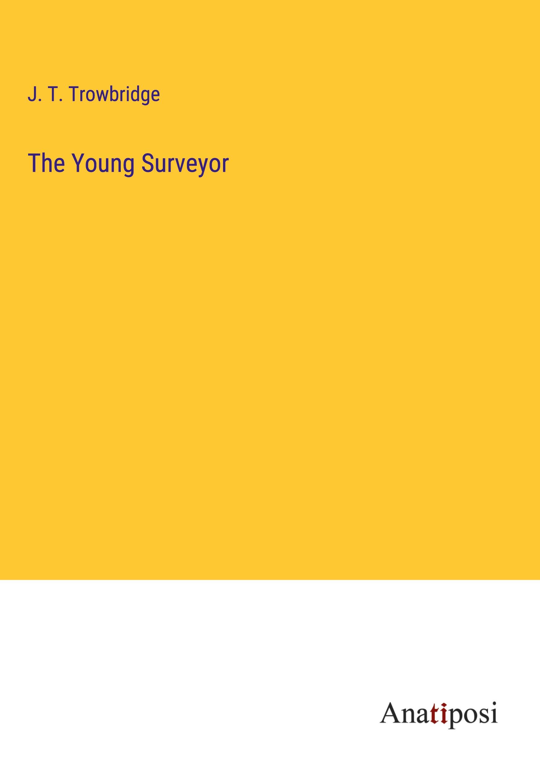 The Young Surveyor