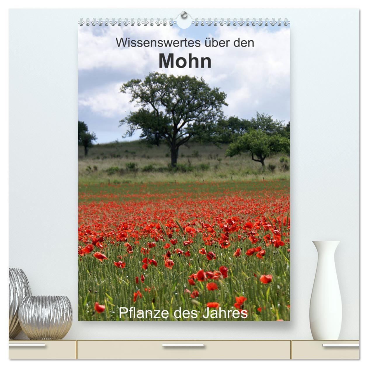 Wissenswertes über den Mohn - Pflanze des Jahres (hochwertiger Premium Wandkalender 2025 DIN A2 hoch), Kunstdruck in Hochglanz