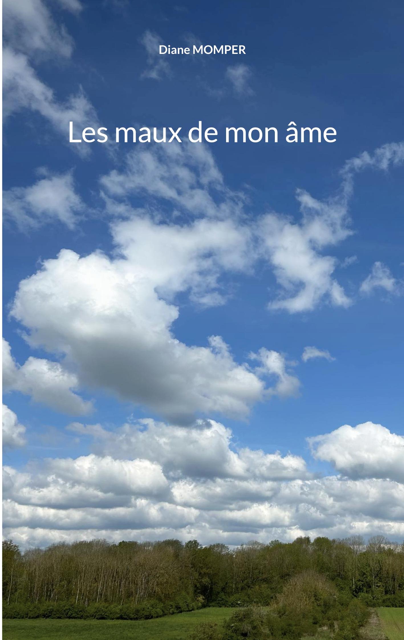 Les maux de mon âme