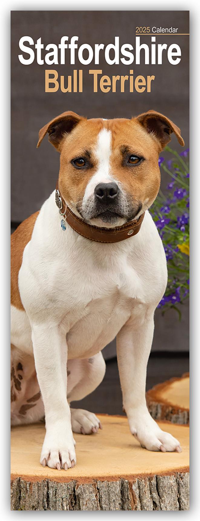 Staffordshire Bullterrier - Staffies 2025