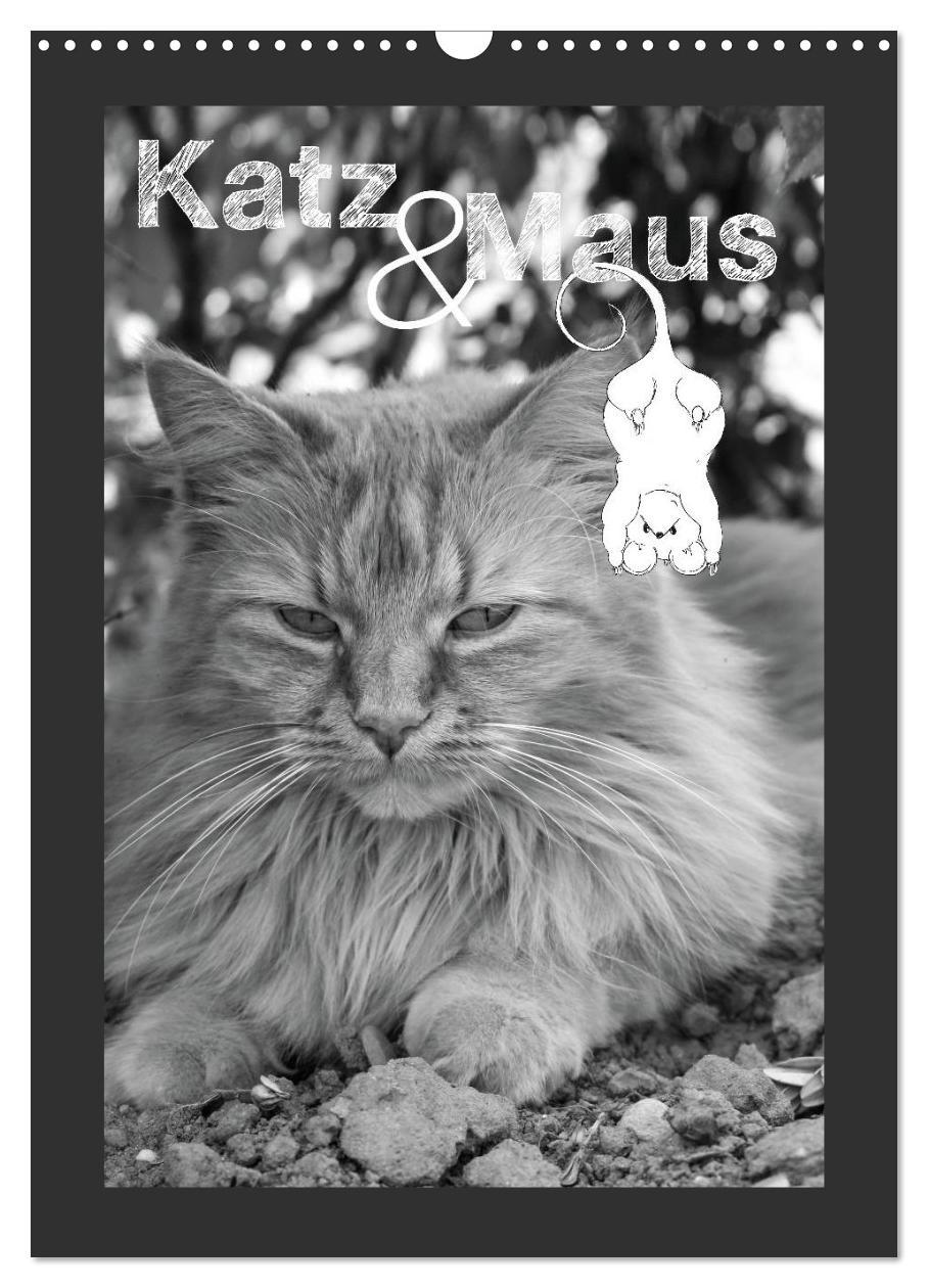 Katz & Maus (Wandkalender 2025 DIN A3 hoch), CALVENDO Monatskalender