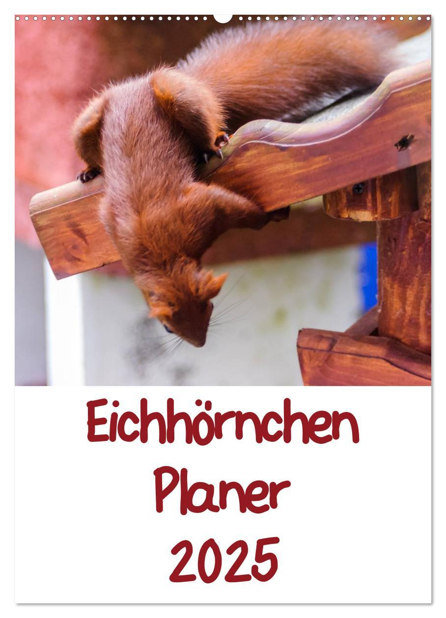 Eichhörnchen Planer 2025 (Wandkalender 2025 DIN A2 hoch), CALVENDO Monatskalender