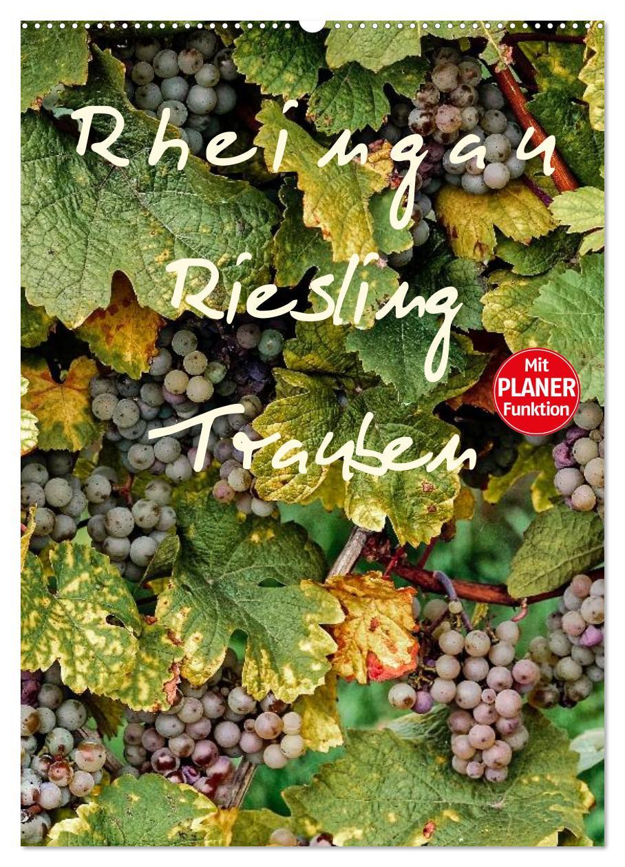 Rheingau - Riesling Trauben (Wandkalender 2025 DIN A2 hoch), CALVENDO Monatskalender