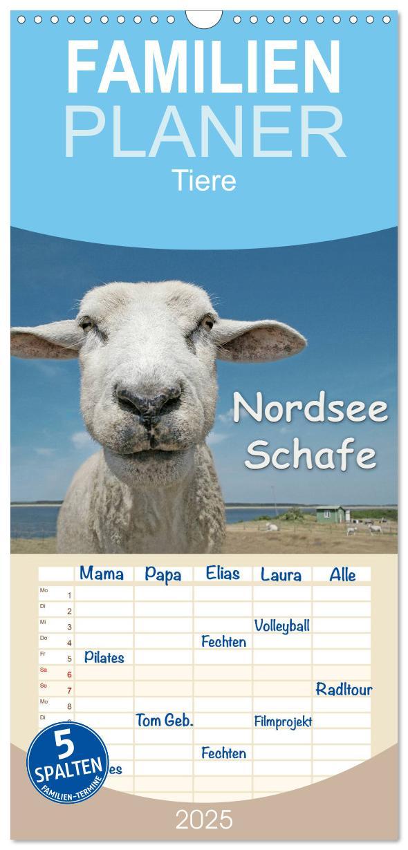 Familienplaner 2025 - Nordsee Schafe mit 5 Spalten (Wandkalender, 21 x 45 cm) CALVENDO