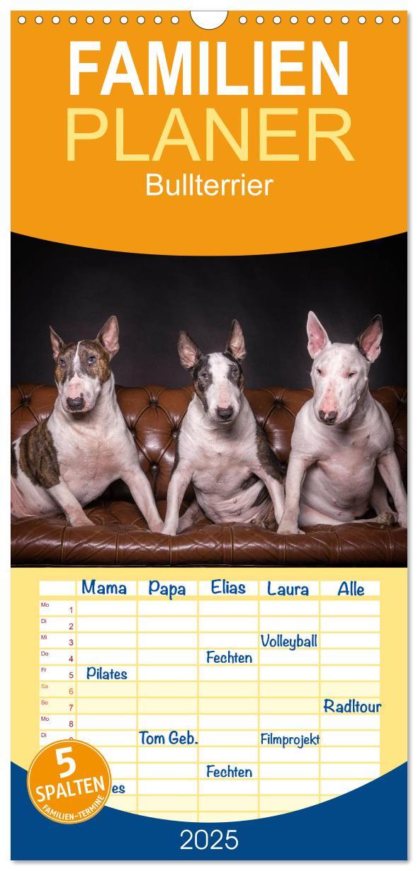 Familienplaner 2025 - Bullterrier mit 5 Spalten (Wandkalender, 21 x 45 cm) CALVENDO