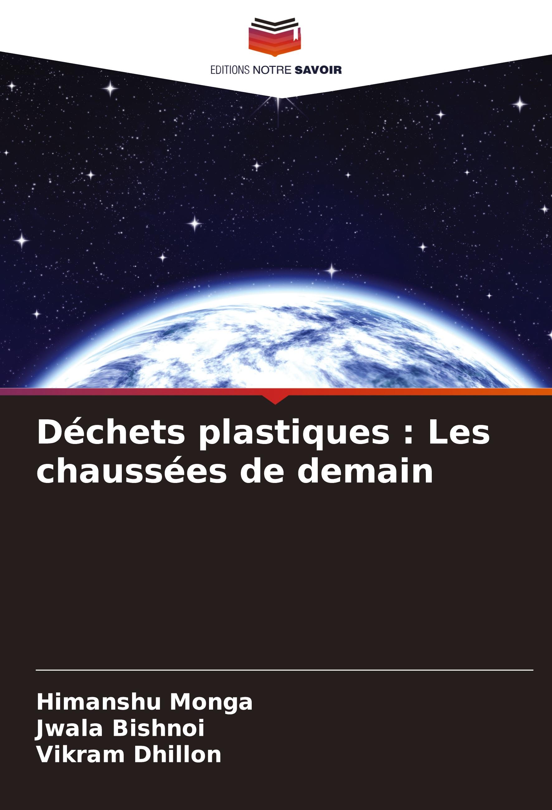 Déchets plastiques : Les chaussées de demain