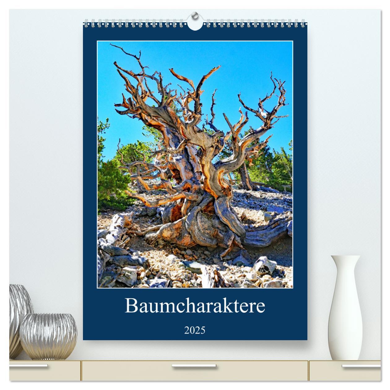 Baumcharaktere (hochwertiger Premium Wandkalender 2025 DIN A2 hoch), Kunstdruck in Hochglanz