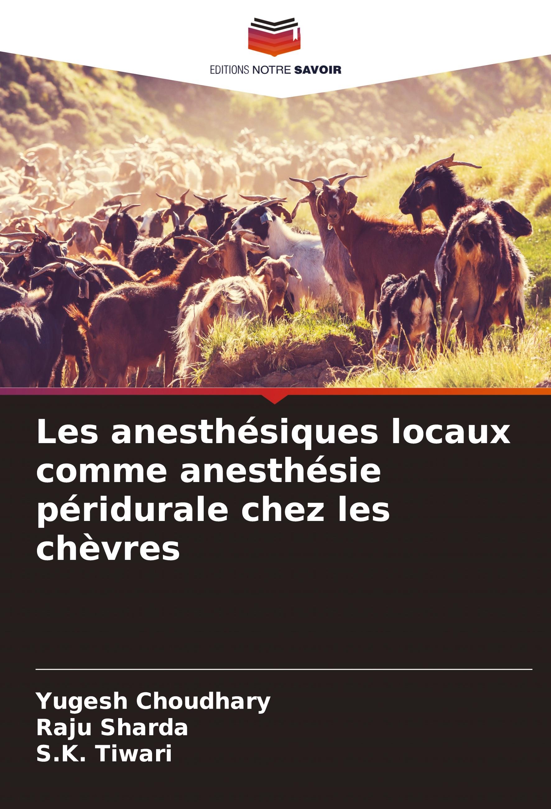 Les anesthésiques locaux comme anesthésie péridurale chez les chèvres