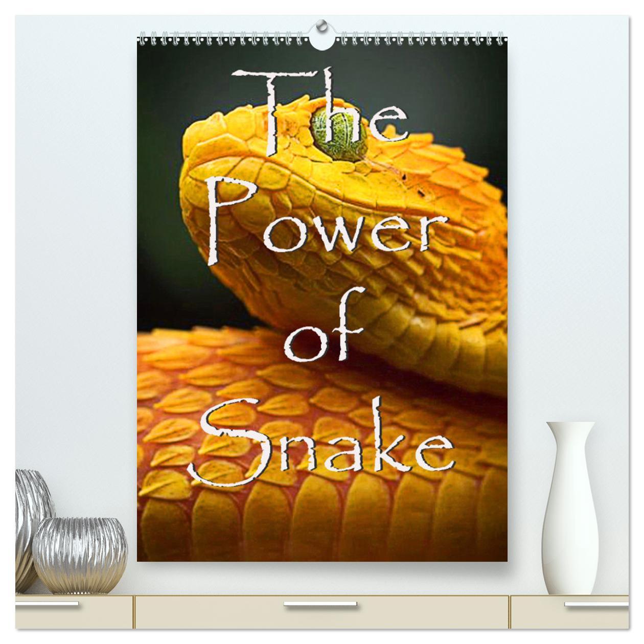 The Power Of Snake (hochwertiger Premium Wandkalender 2025 DIN A2 hoch), Kunstdruck in Hochglanz