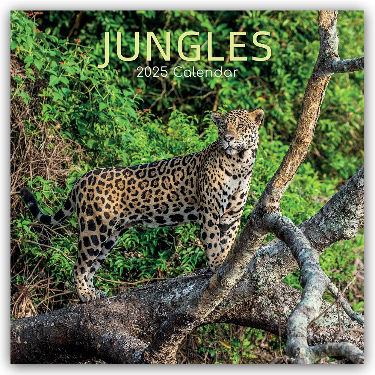 Jungles - Dschungel 2025 - 16-Monatskalender