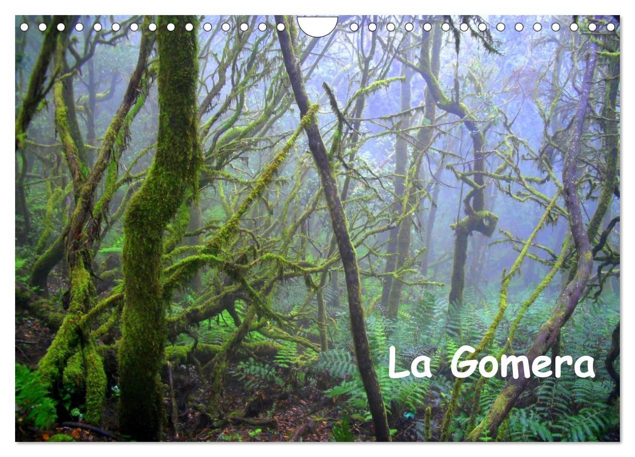 La Gomera (Wandkalender 2025 DIN A4 quer), CALVENDO Monatskalender