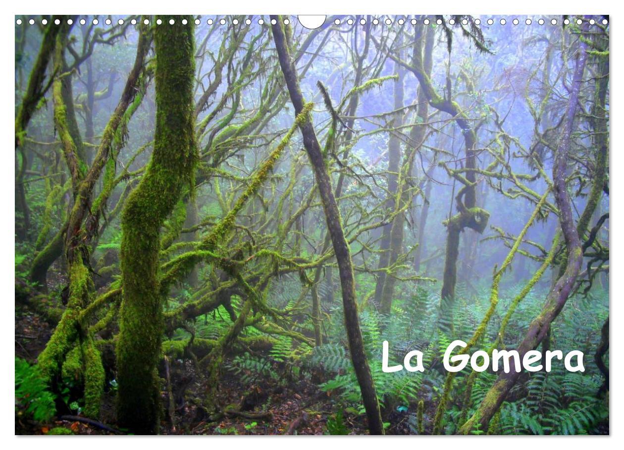 La Gomera (Wandkalender 2025 DIN A3 quer), CALVENDO Monatskalender