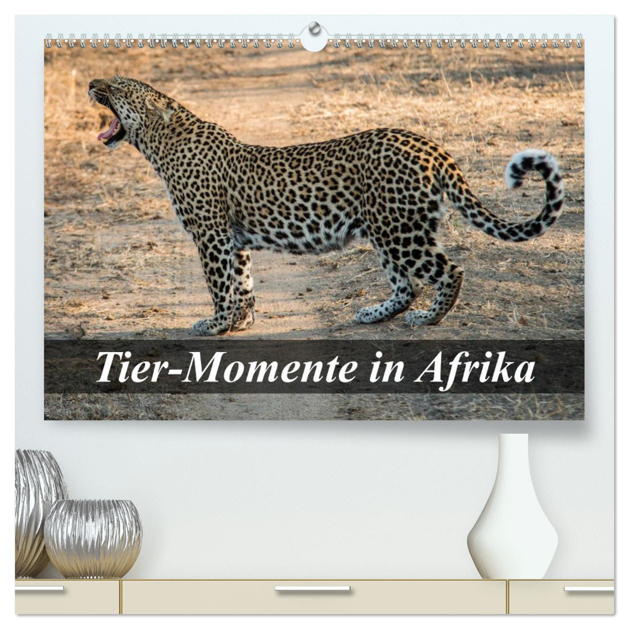 Tier-Momente in Afrika (hochwertiger Premium Wandkalender 2025 DIN A2 quer), Kunstdruck in Hochglanz