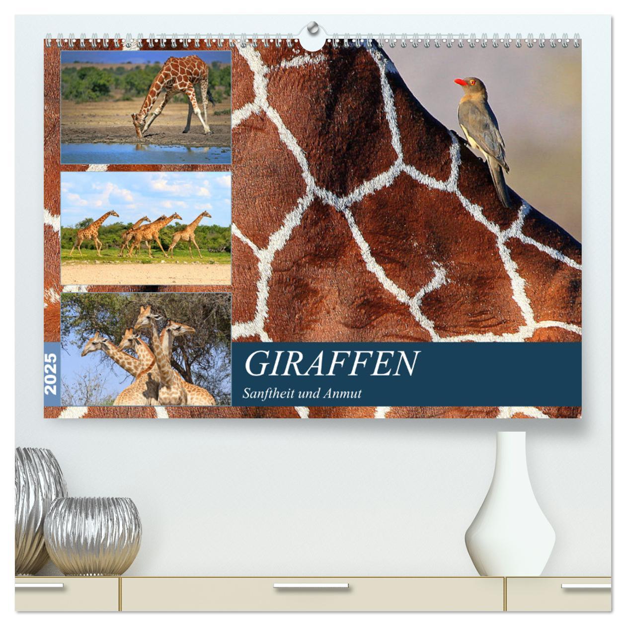 Giraffen - Sanftheit und Anmut (hochwertiger Premium Wandkalender 2025 DIN A2 quer), Kunstdruck in Hochglanz