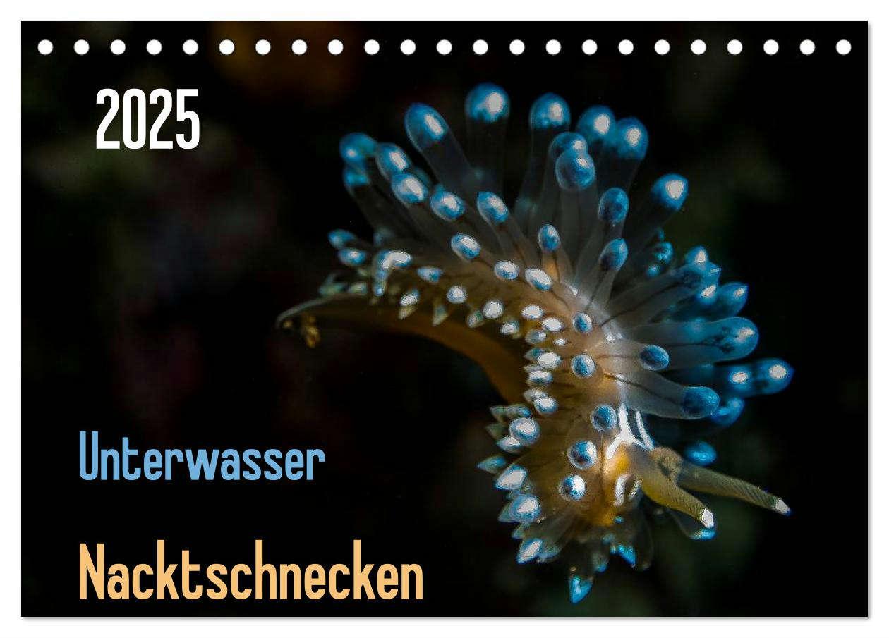 Unterwasser - Nacktschnecken 2025 (Tischkalender 2025 DIN A5 quer), CALVENDO Monatskalender