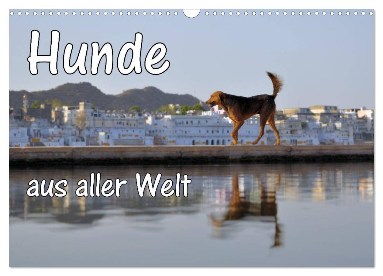 Hunde aus aller Welt (Wandkalender 2025 DIN A3 quer), CALVENDO Monatskalender