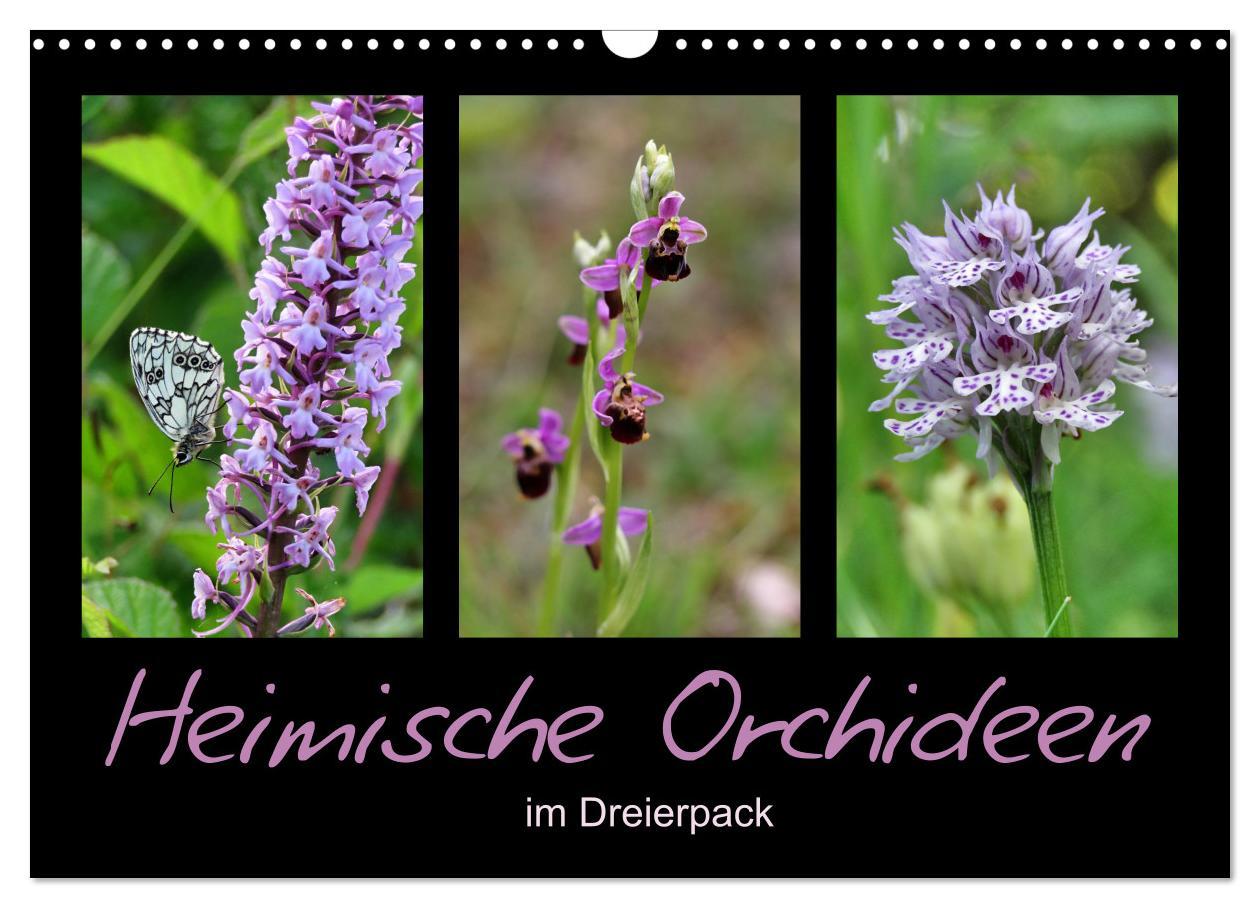 Heimische Orchideen im Dreierpack (Wandkalender 2025 DIN A3 quer), CALVENDO Monatskalender