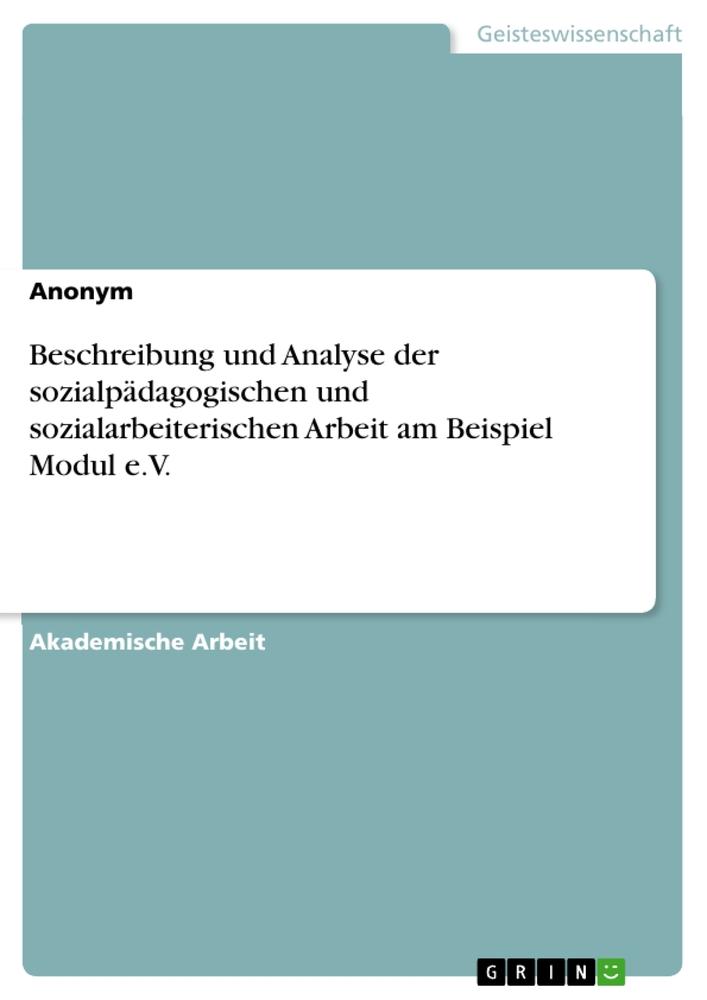 Beschreibung und Analyse der sozialpädagogischen und sozialarbeiterischen Arbeit am Beispiel Modul e.V.