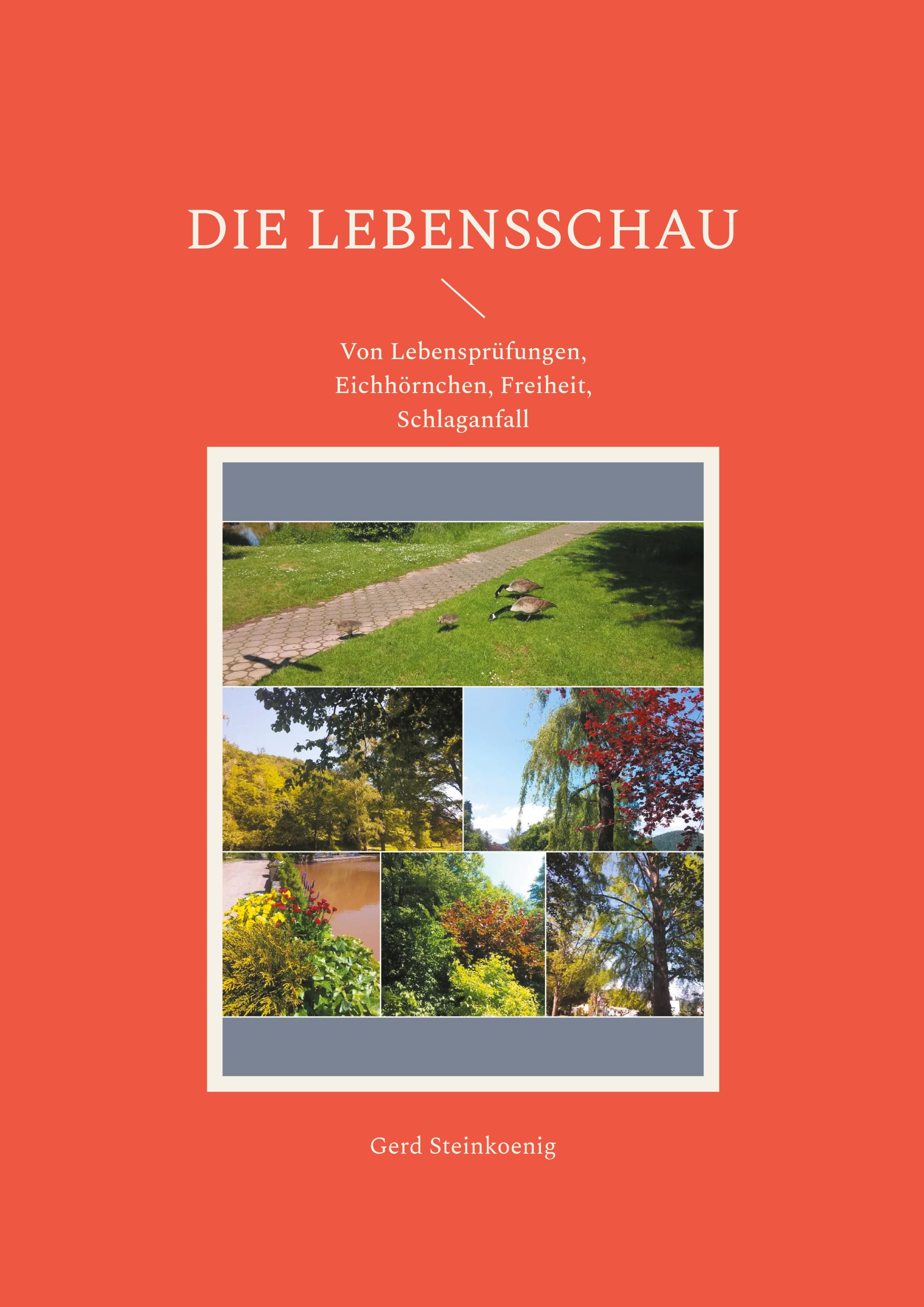 Die Lebensschau