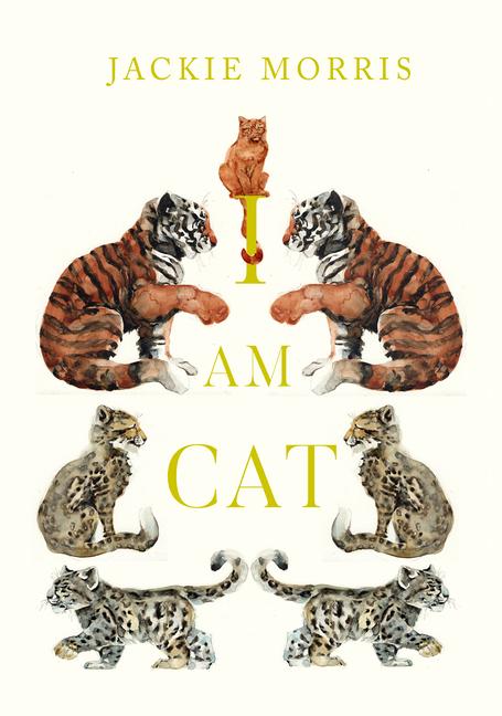 I am Cat