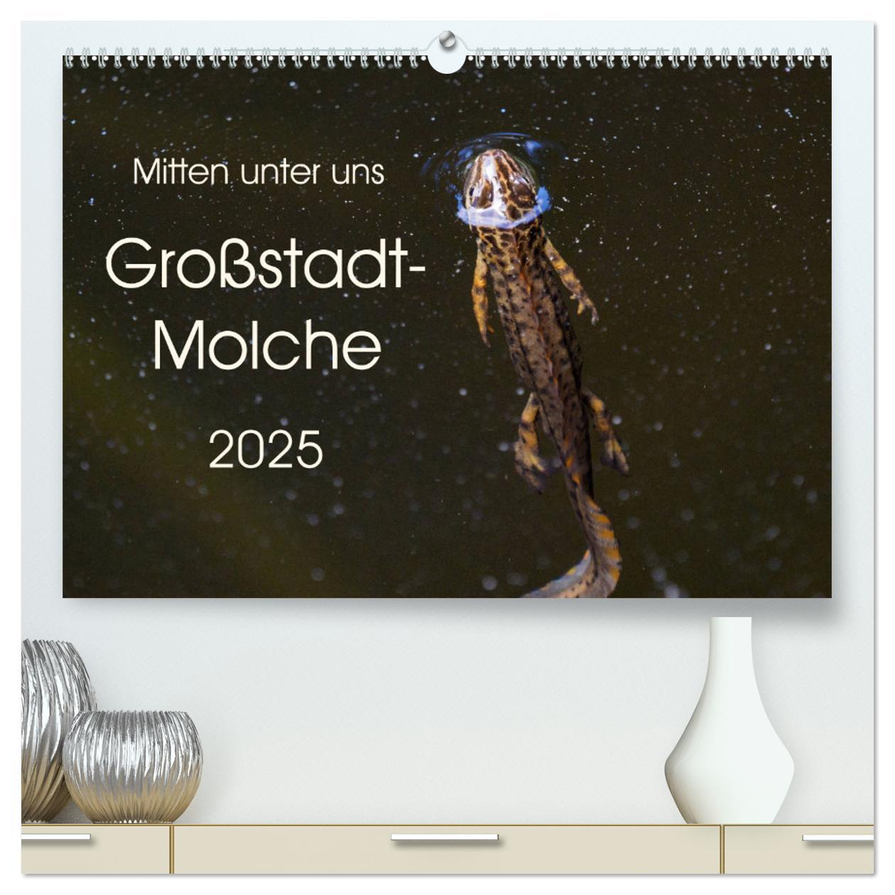 Mitten unter uns - Großstadt-Molche (hochwertiger Premium Wandkalender 2025 DIN A2 quer), Kunstdruck in Hochglanz