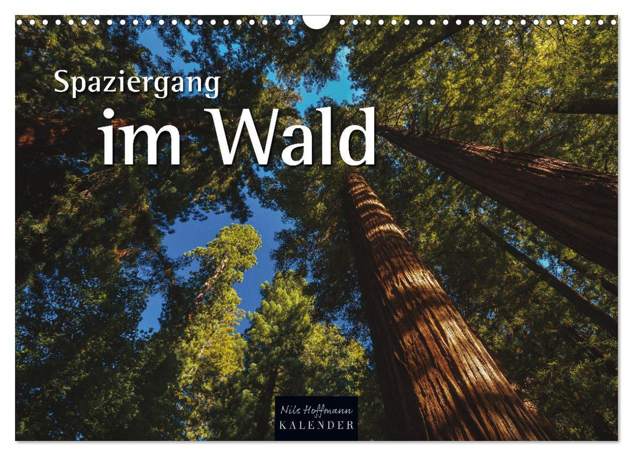 Spaziergang im Wald (Wandkalender 2025 DIN A3 quer), CALVENDO Monatskalender