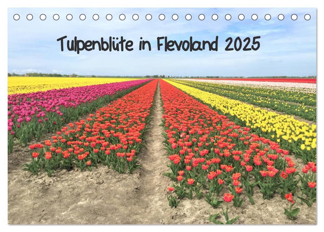 Tulpenblüte in Flevoland 2025 (Tischkalender 2025 DIN A5 quer), CALVENDO Monatskalender