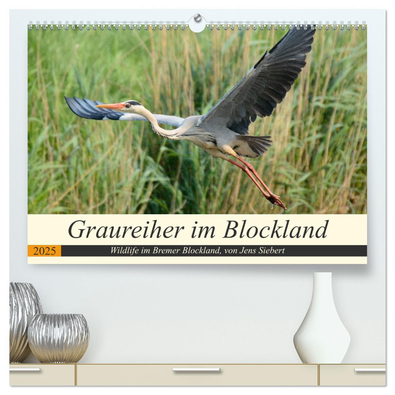 Graureiher im Blockland (hochwertiger Premium Wandkalender 2025 DIN A2 quer), Kunstdruck in Hochglanz