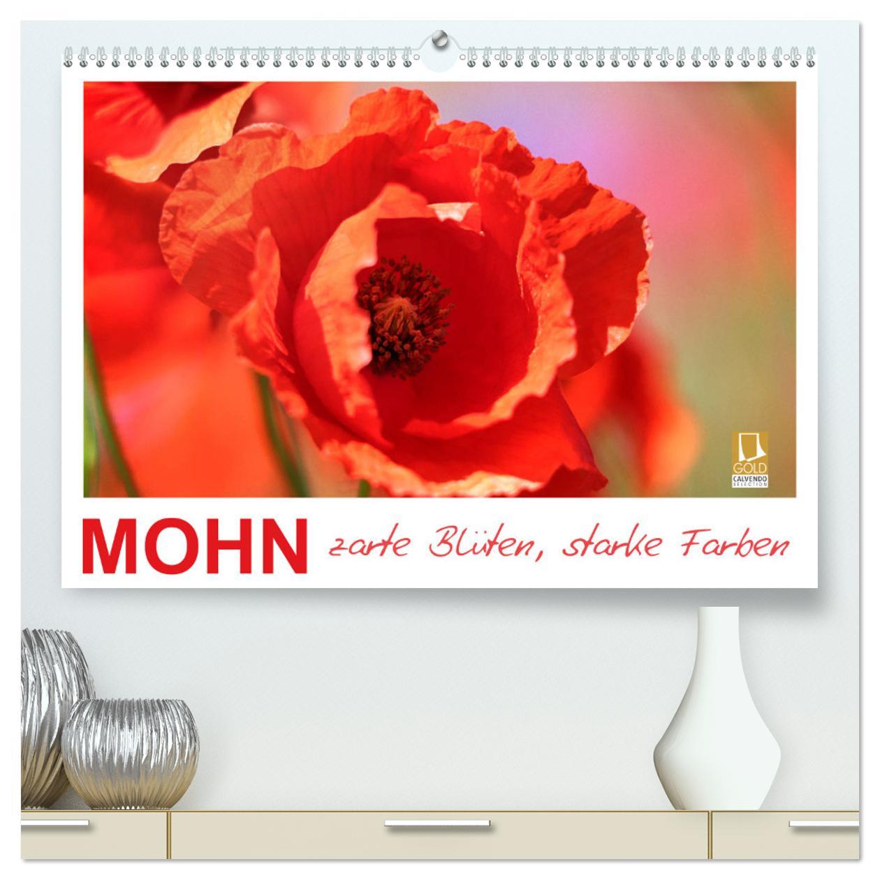 Mohn, zarte Blüten, starke Farben (hochwertiger Premium Wandkalender 2025 DIN A2 quer), Kunstdruck in Hochglanz