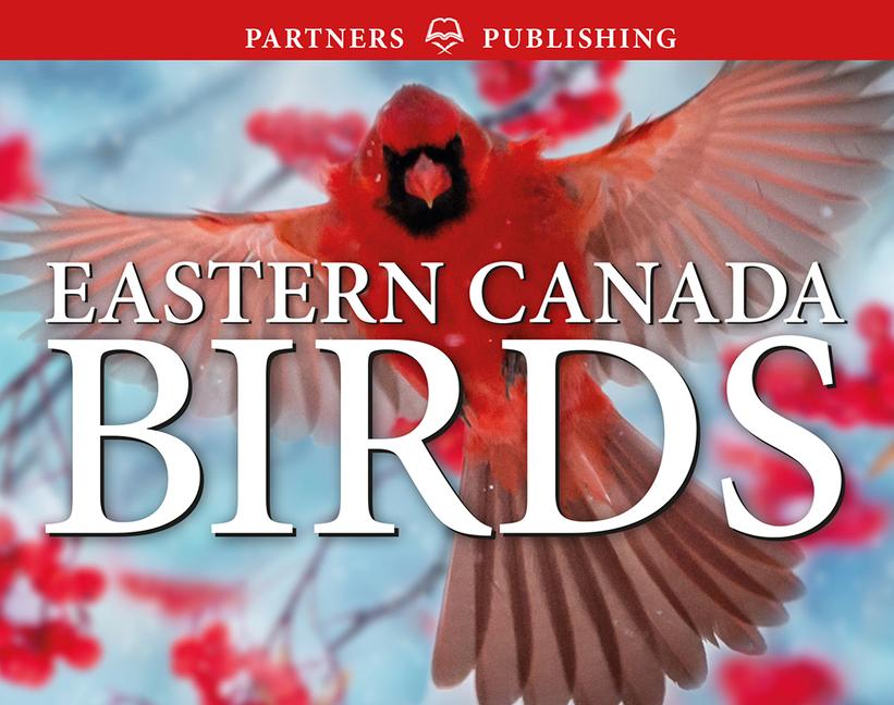 Eastern Canada Birds