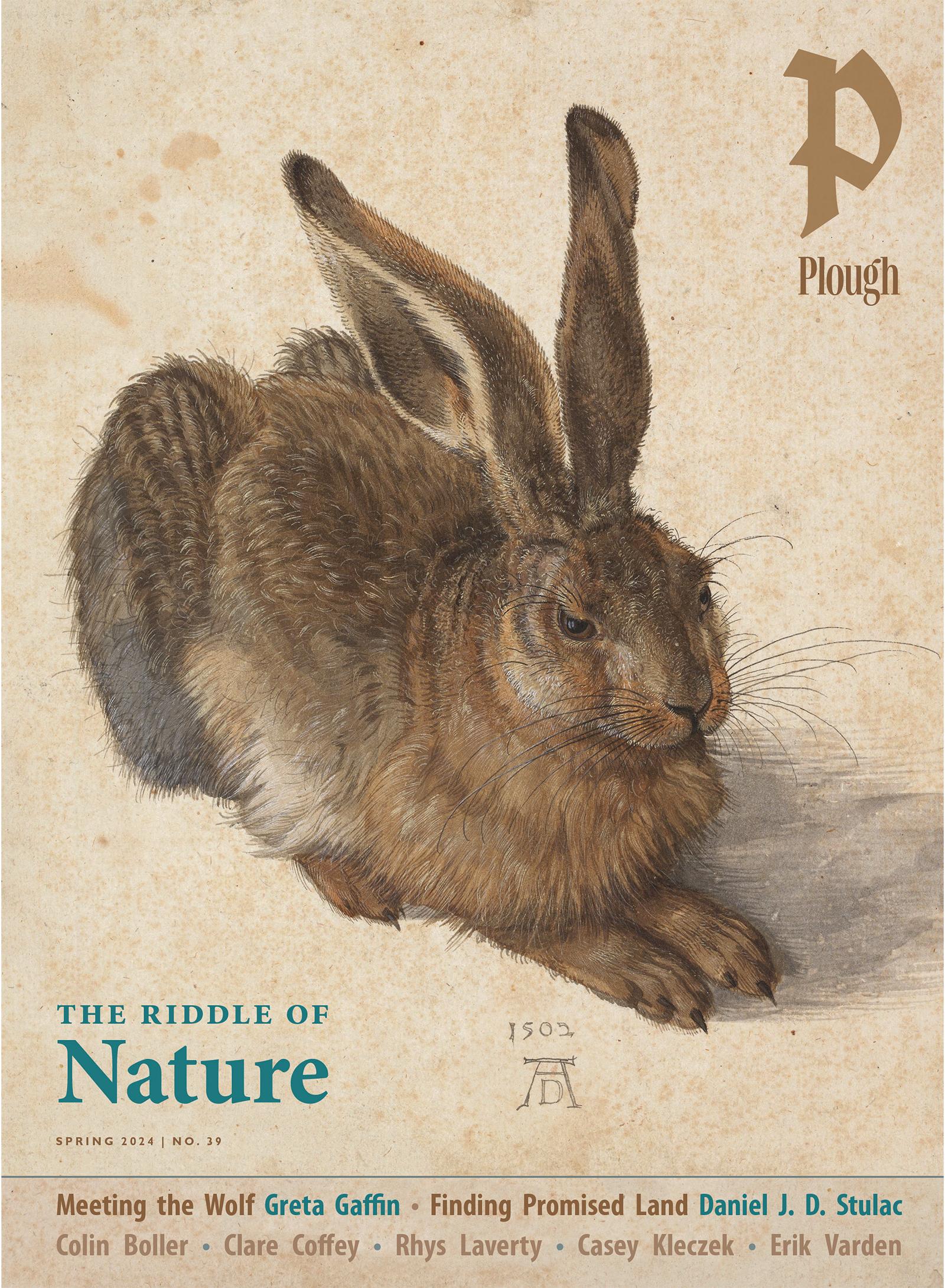 Plough Quarterly No. 39 - The Riddle of Nature