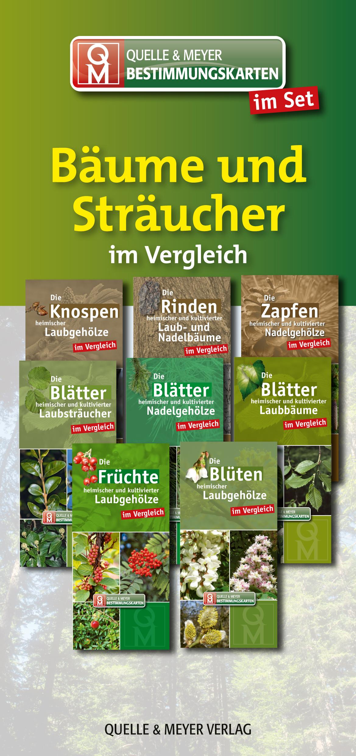 Bestimmungskarten-Set "Bäume und Sträucher"