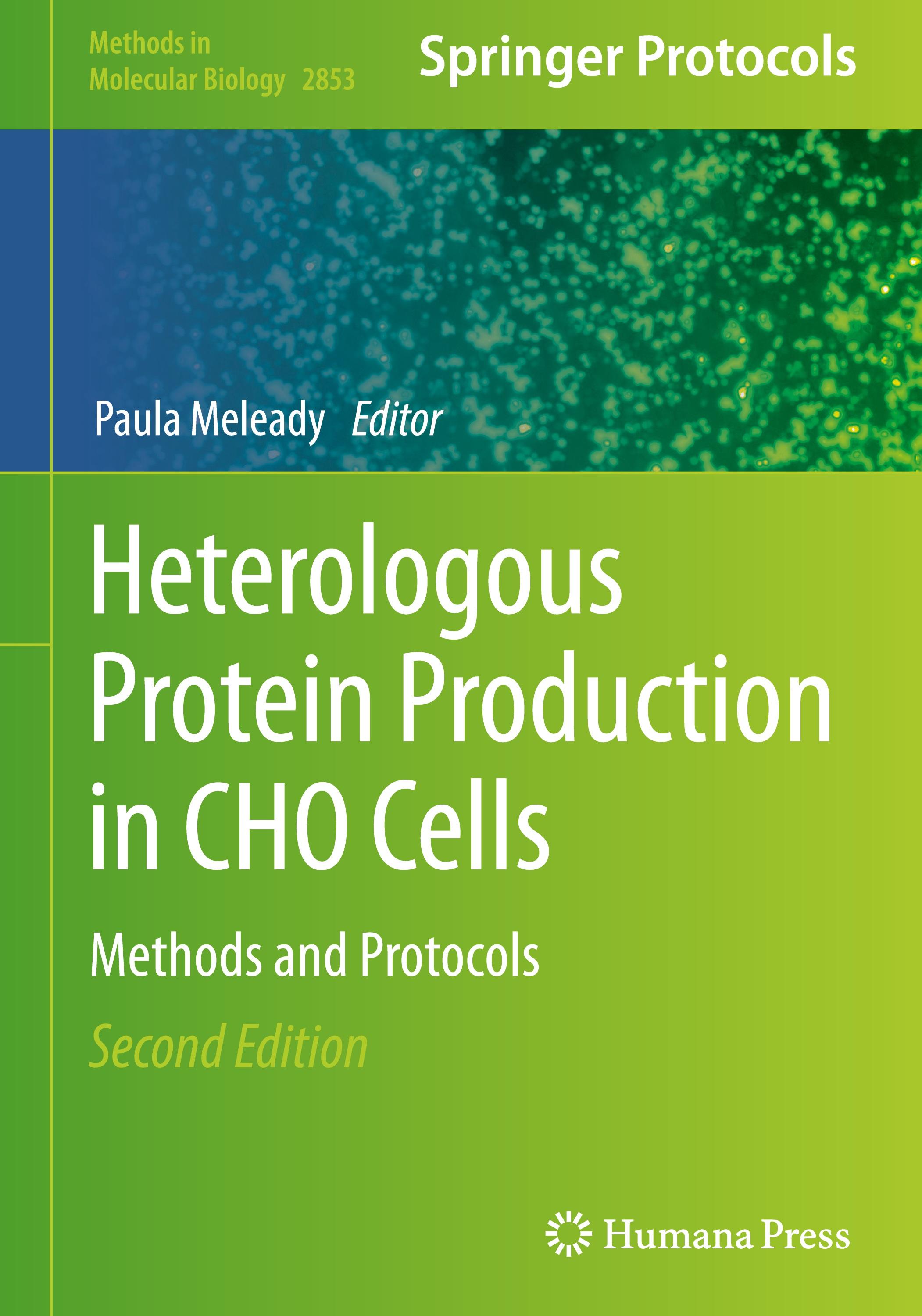 Heterologous Protein Production in CHO Cells