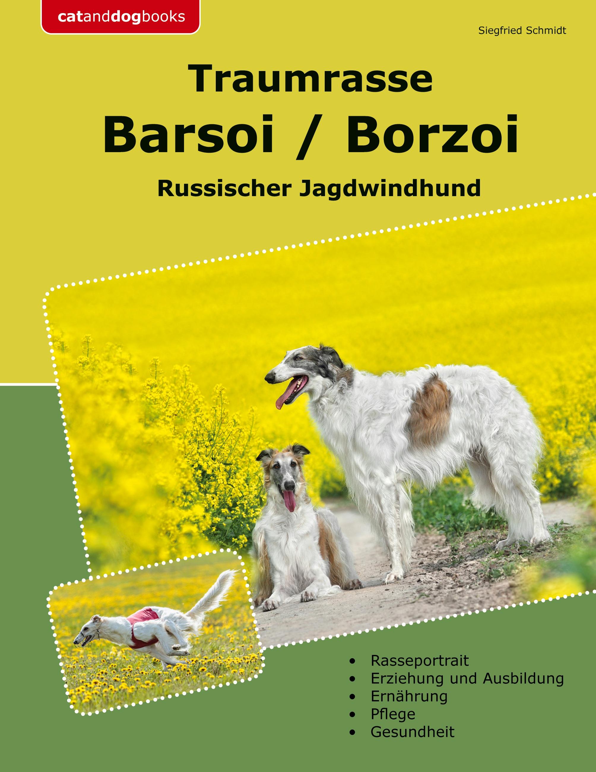 Traumrasse Barsoi / Borzoi