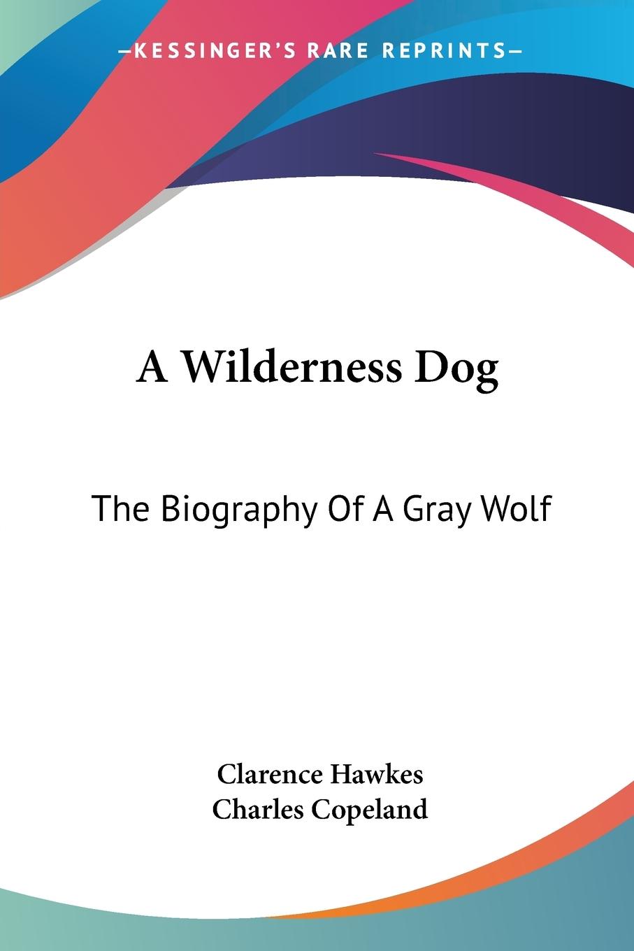 A Wilderness Dog