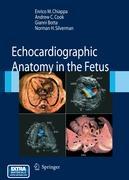 Echocardiographic Anatomy in the Fetus