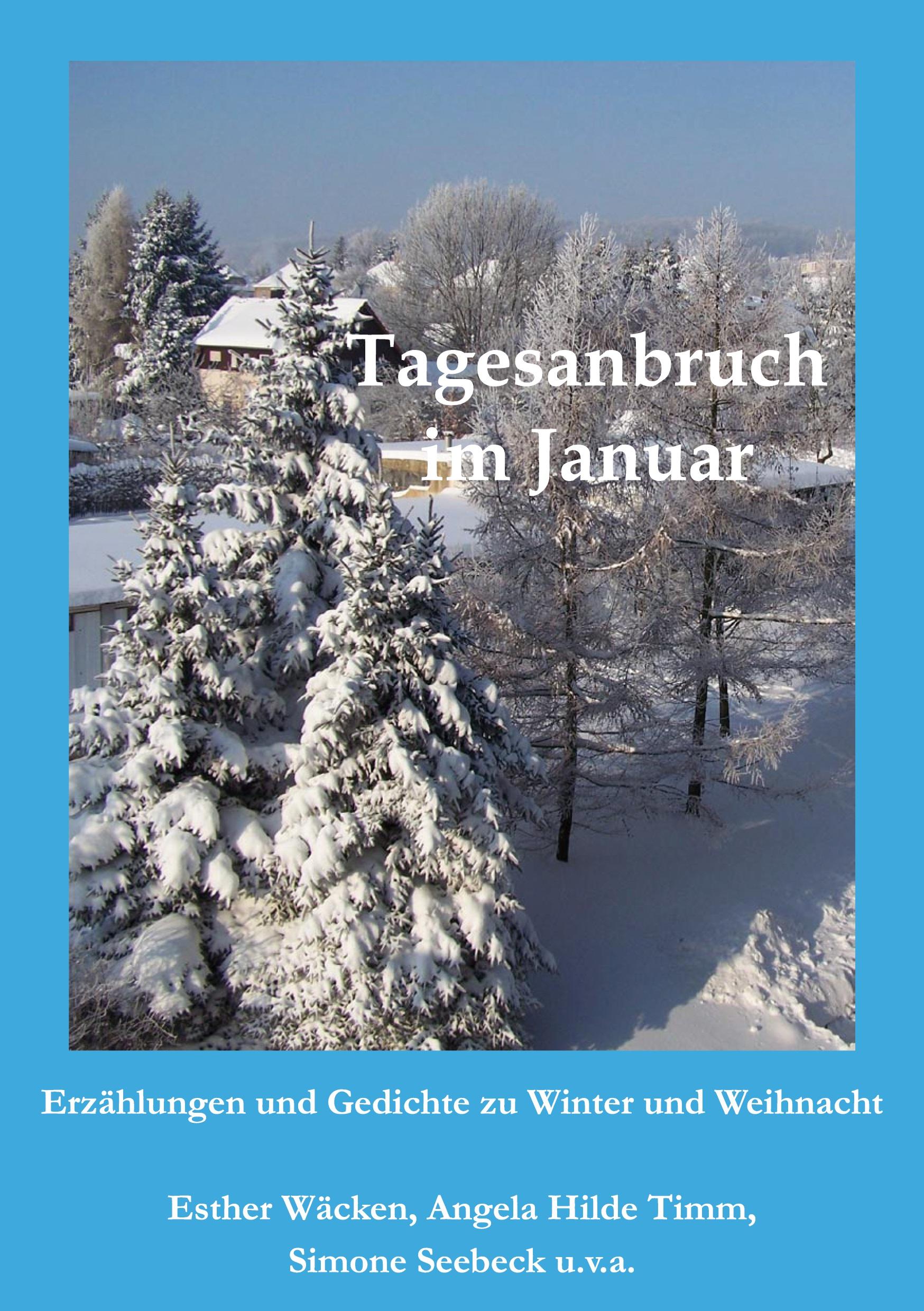 Tagesanbruch im Januar