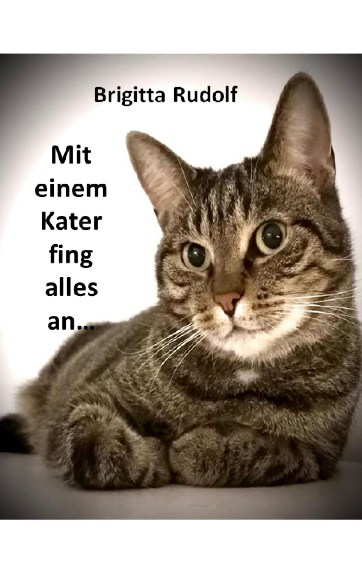 Alles fing mit einem Kater an