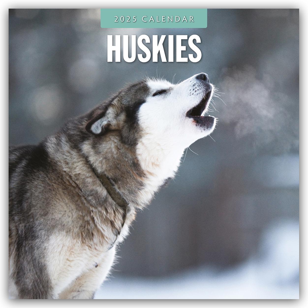 Huskies - Husky - Huskys 2025 - 16-Monatskalender