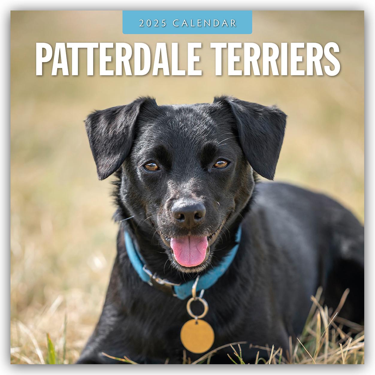 Patterdale Terrier - Schwarzer Terrier 2025 - 16-Monatskalender