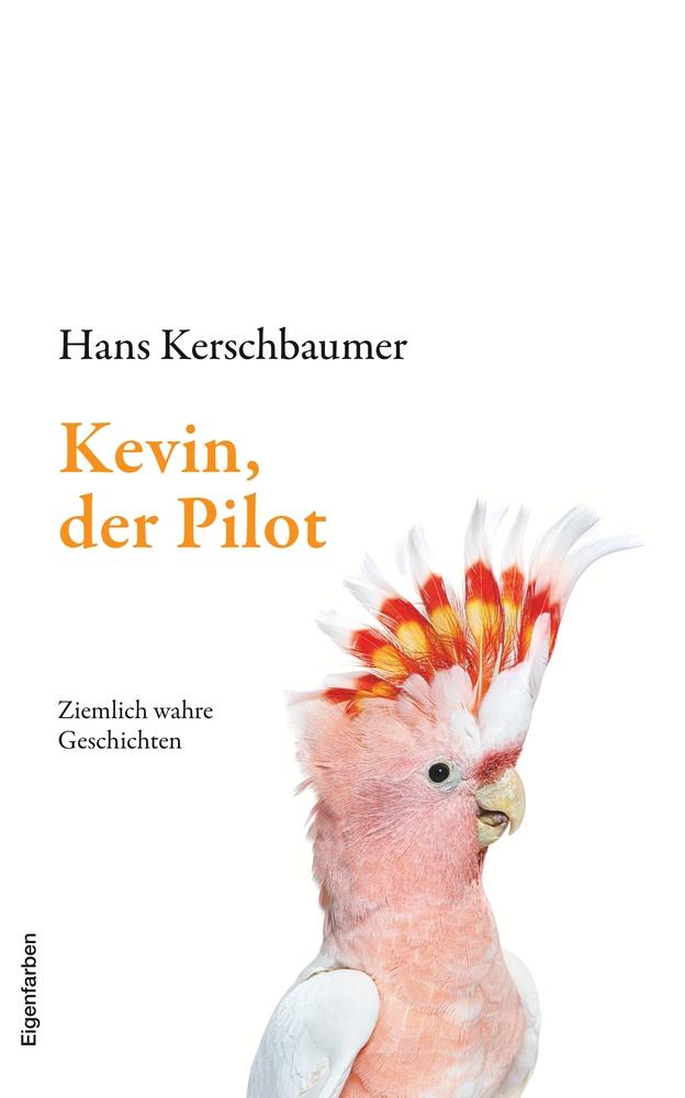 Kevin, der Pilot