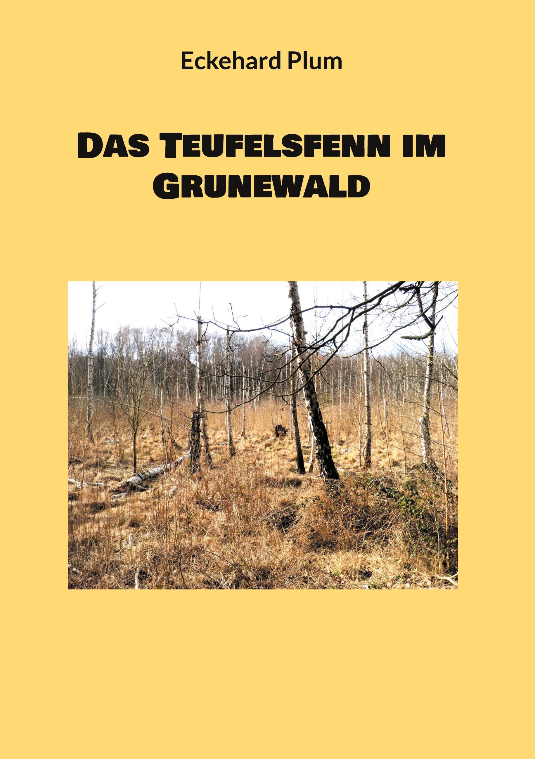 Das Teufelsfenn im Grunewald