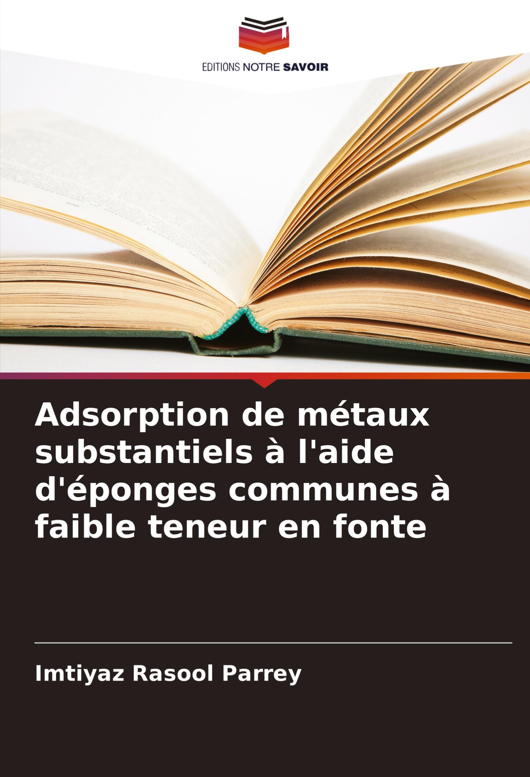 Adsorption de métaux substantiels à l'aide d'éponges communes à faible teneur en fonte