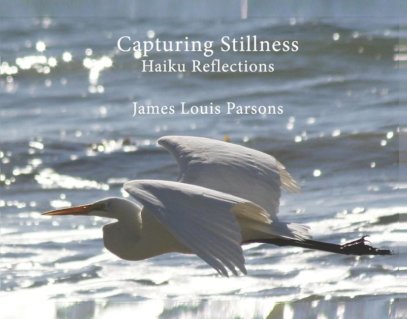 Capturing Stillness Haiku Reflections