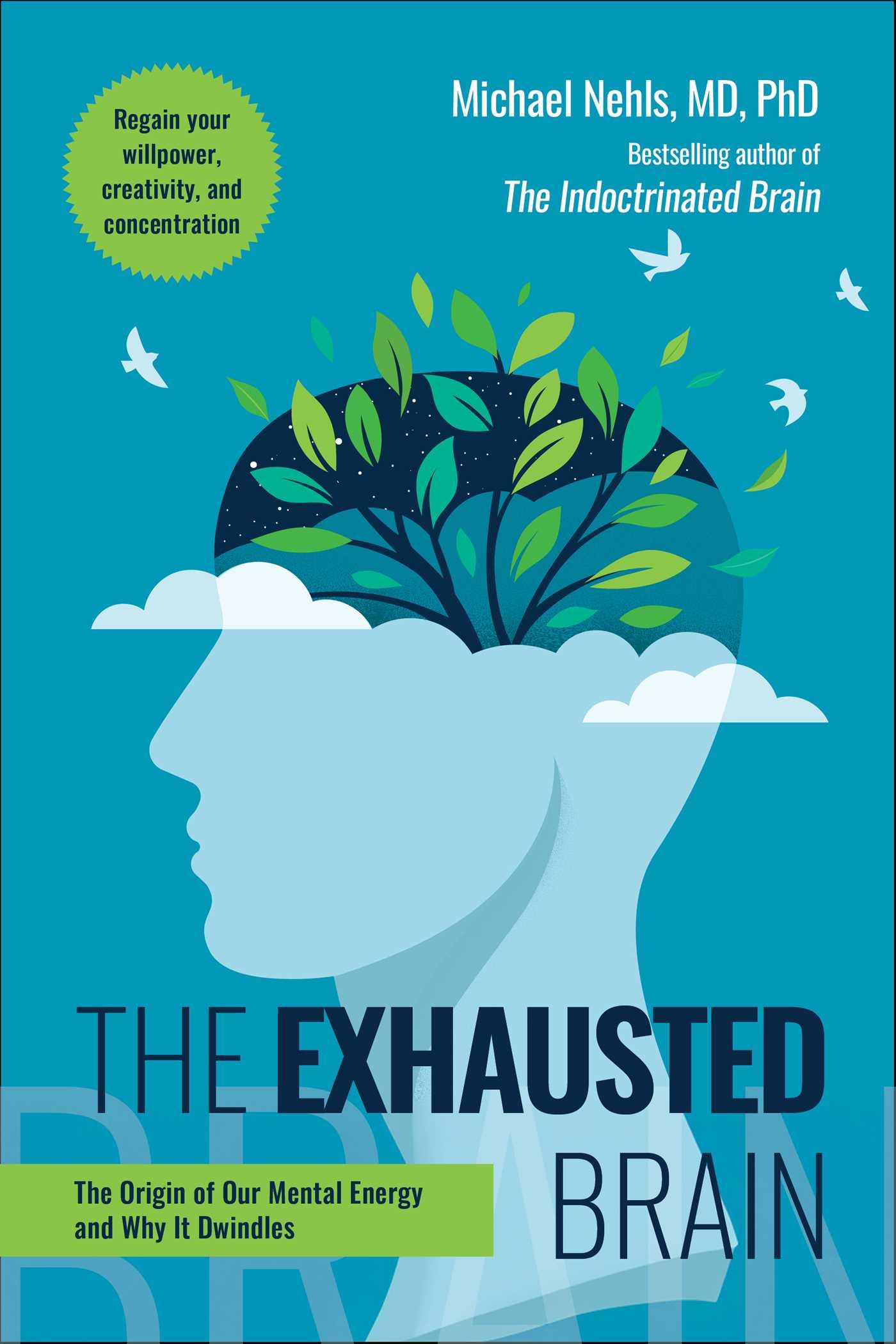 The Exhausted Brain