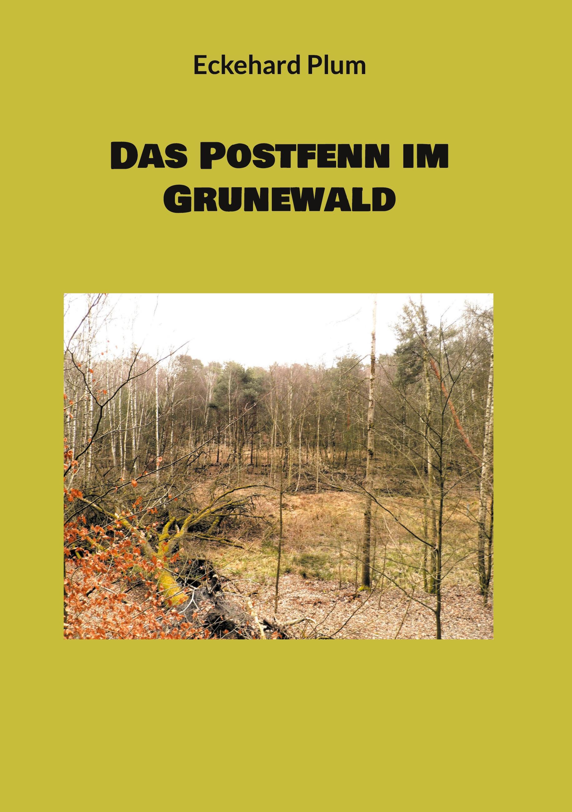 Das Postfenn im Grunewald