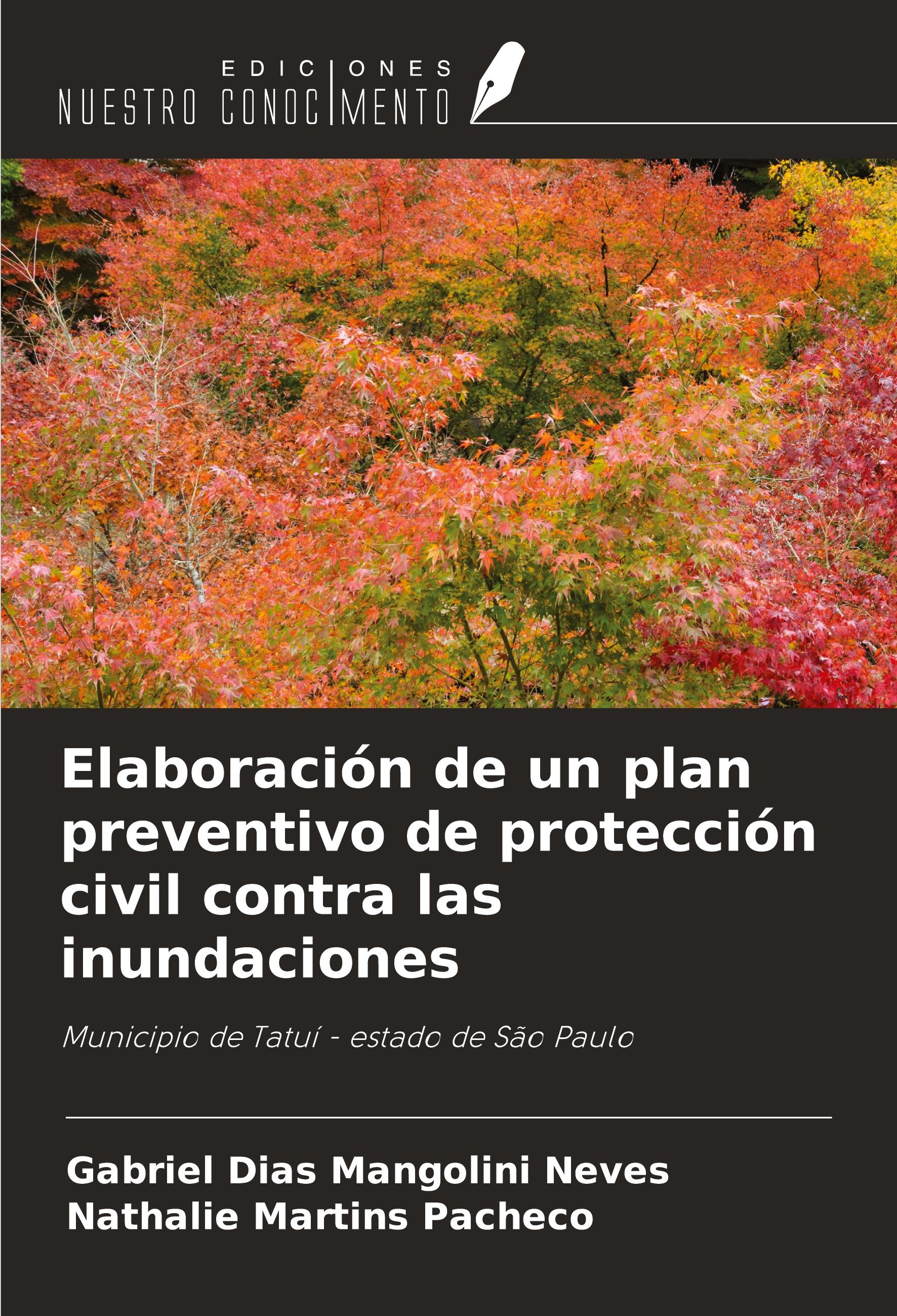 Elaboración de un plan preventivo de protección civil contra las inundaciones